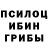 Псилоцибиновые грибы мицелий Galina Shelcovicova