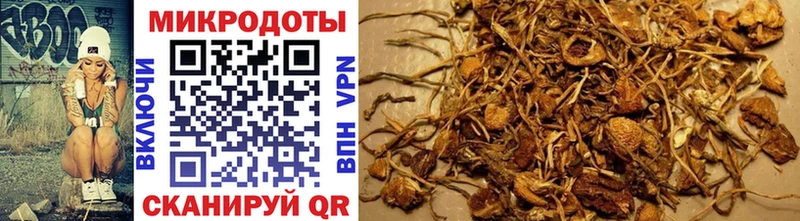 Псилоцибиновые грибы мухоморы  где купить наркоту  Змеиногорск 